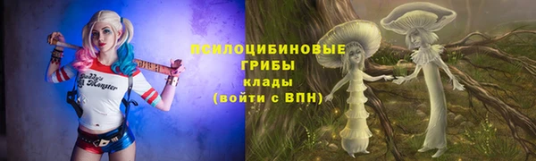 каннабис Новокубанск