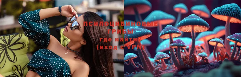 Псилоцибиновые грибы Psilocybe  купить наркоту  Санкт-Петербург 