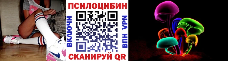 сколько стоит Санкт-Петербург Галлюциногенные грибы Magic Shrooms