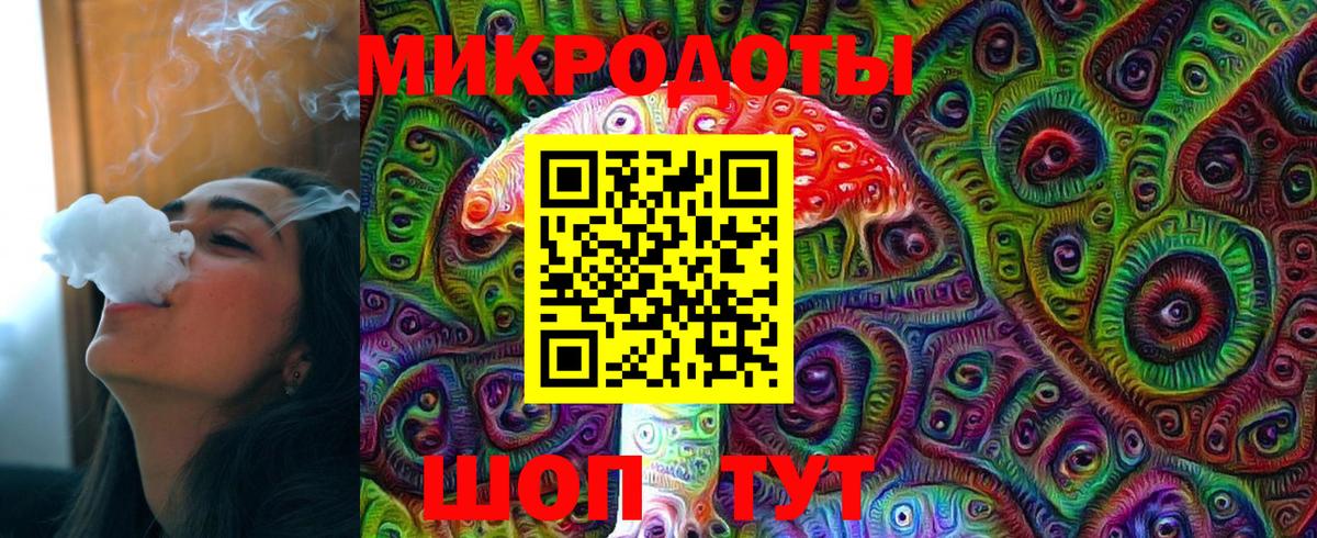 Галлюциногенные грибы Psilocybine cubensis Санкт-Петербург