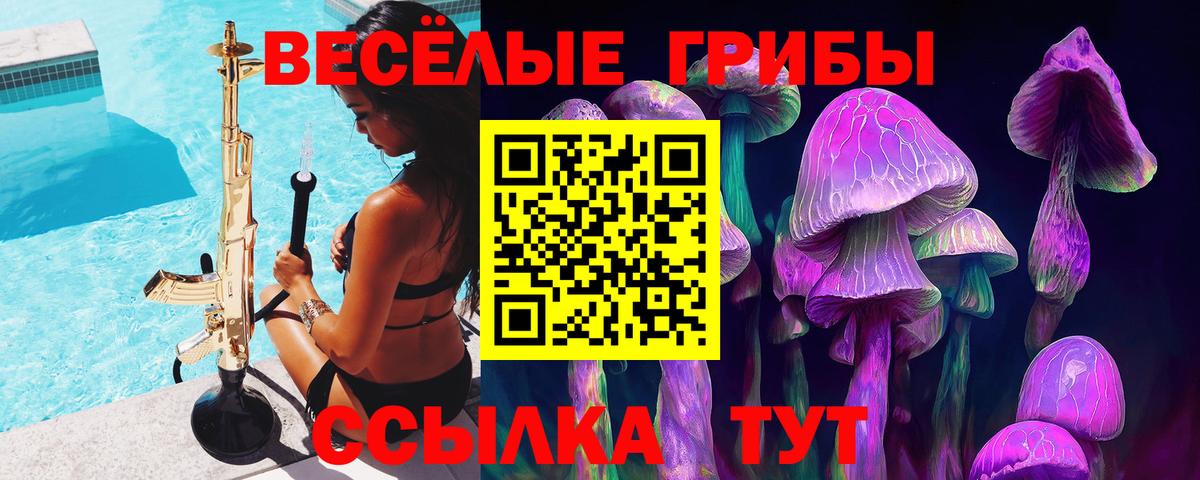 Псилоцибиновые грибы мицелий  Вход с VPN  Галлюциногенные грибы прущие грибы  Санкт-Петербург 