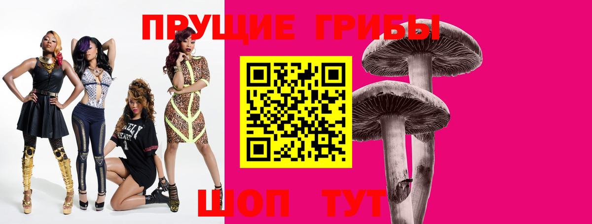 Галлюциногенные грибы мицелий  Санкт-Петербург 